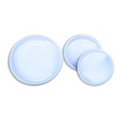 Assiette jetable ronde blanche (x100)