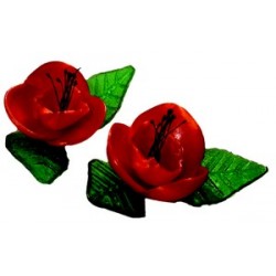 Decors sucre tire 24 coquelicots et 48 feuilles