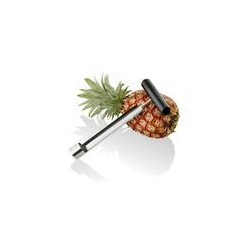 Etrognoneur ananas inox