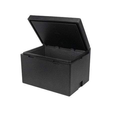 Conteneur isotherme cargo box en polypropylene 120 l