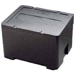 Conteneur boîte box isotherme compact et résistant GN1/2